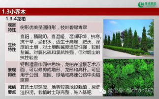 綠城集團園林軟景苗木圖譜 全套